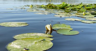 База отдыха и рыбалки «Тихая Гавань»