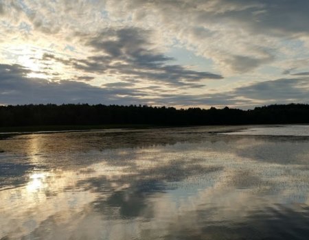 Рыбалка на  Луковском озере в Ровенской области