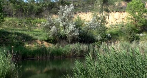 Карьер в с. Тишки в Полтавской области