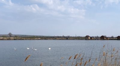 Рибне господарство: Надія в Одеській області