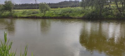 Рибне господарство: Надія в Одеській області