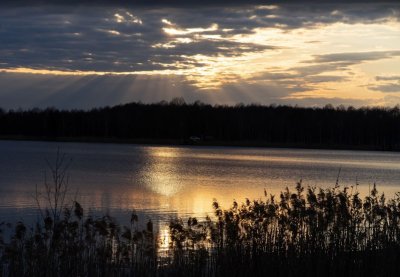 Рибалка на Озері Кричевичі у Волинській області