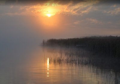 Рибалка на Озері Кричевичі у Волинській області