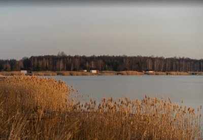 Рибалка на Озері Кричевичі у Волинській області