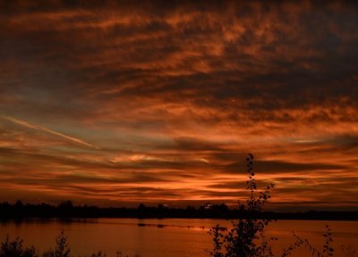 Рибалка на Озері Кричевичі у Волинській області