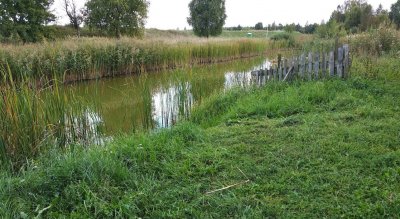 Рибалка на Озері Кричевичі у Волинській області