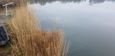 Рыбалка на озере Аква-Сити в Одесской области