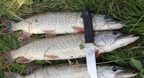 Рибалка на озері Цукерня, с. Якушинці у Вінницькій області