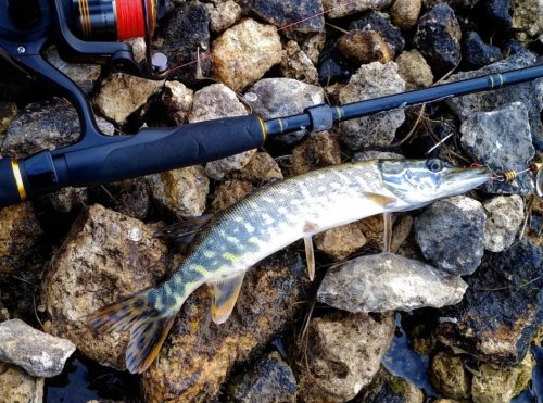 Риболовля на р. Інгулець 