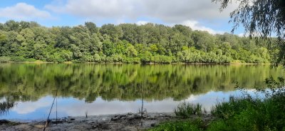 Рыбалка на реке Десна 