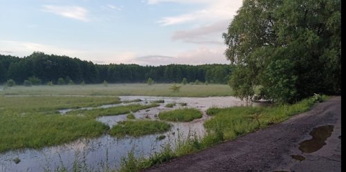 Рыбалка на реке Псел в Сухорабовке