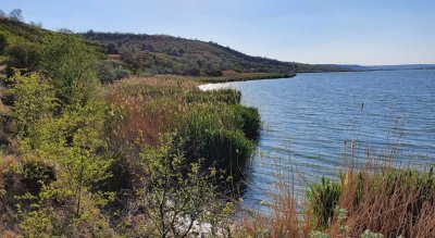 Рыбалка в Усадьбе Потоцких