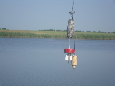 Рибалка в Явкине Миколаївської області