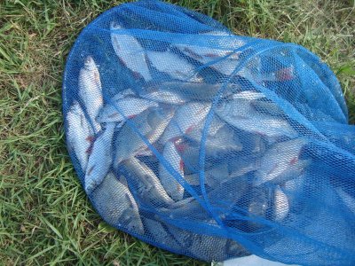 Рибалка в Явкине Миколаївської області