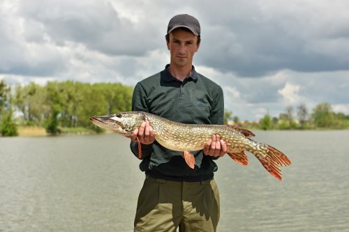 База сімейного відпочинку «Рибачок»