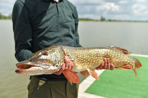 База сімейного відпочинку «Рибачок»