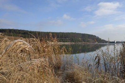 Рыбалка на озере Trident Lake 