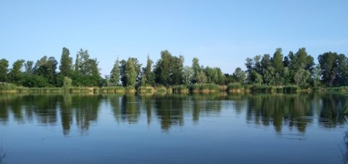 Ставок Подкова в Черкасской области