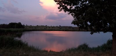 Рыбалка на ставке Три Карася