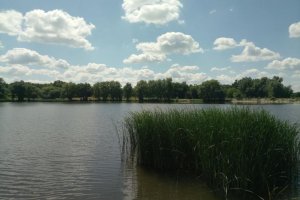 Ставок в с. Косари Черкасской области-1