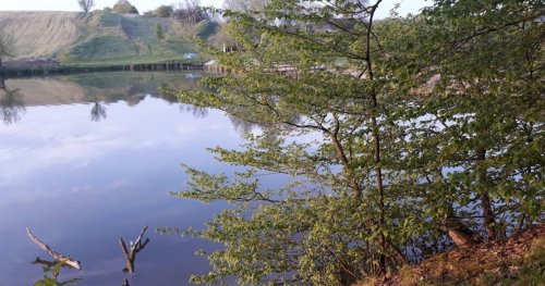 Ставок в с. Валява в Черкасской области