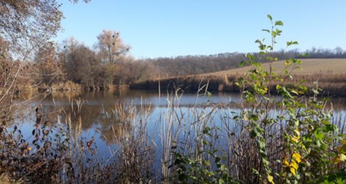 Ставок в с. Валява в Черкасской области
