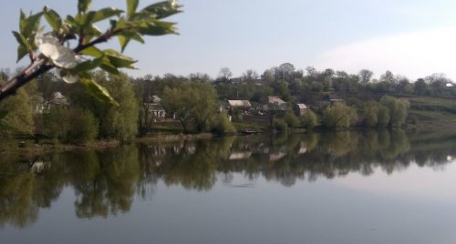 Ставок в с. Валява в Черкасской области