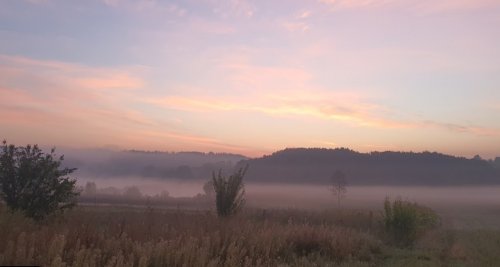 Ставок в с. Валява в Черкасской области
