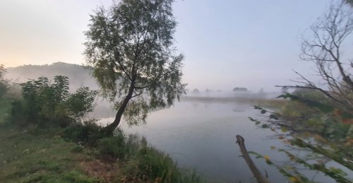 Ставок в с. Валява в Черкасской области