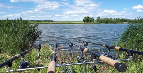 Салтичійский степовий оазис: відпочинок і риболовля у Запорізькій області
