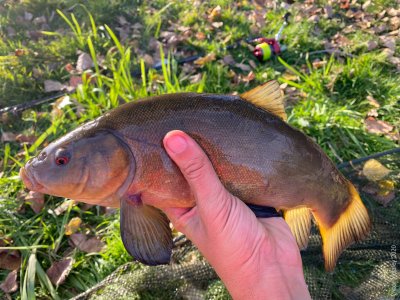 Риболовля на озері Підкова 