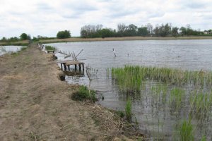 Водоем в с. Синеоковка Черкасской области-2
