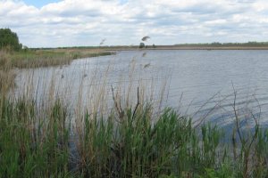 Водоем в с. Синеоковка Черкасской области-1