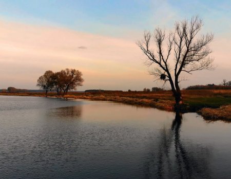 Рибалка на ставці у селі Стара Осота