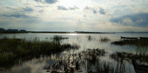 Озеро Світязь у Волинській області