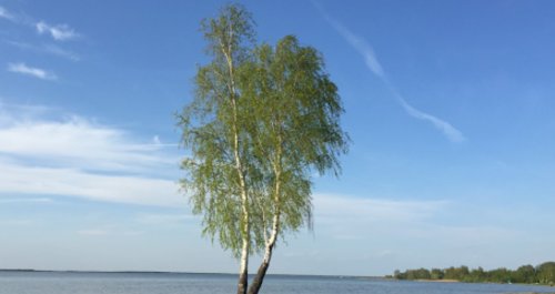 Озеро Світязь у Волинській області