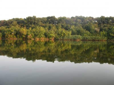 Рибалка на водоймі Карпова заплава