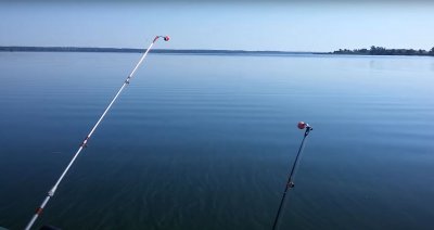 Рибалка на водоймі Карпова заплава