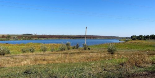 Рибалка на ставку в с. Чистопіль Дніпропетровської області