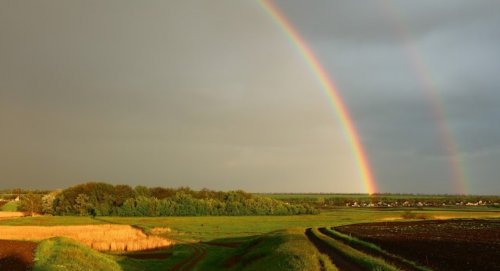 Рибалка на ставку в с. Чистопіль Дніпропетровської області