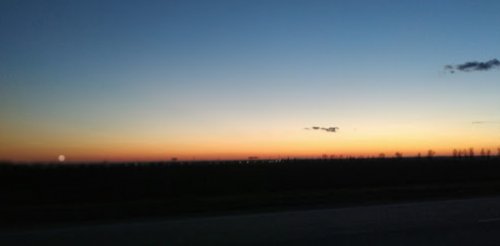 Рибалка на ставку с. Вільне Дніпропетровської області