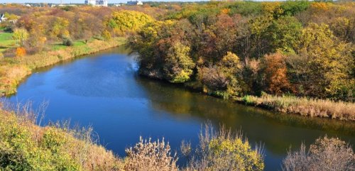 Рибалка на ставку с. Вільне Дніпропетровської області