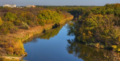 Рибалка на ставку с. Вільне Дніпропетровської області