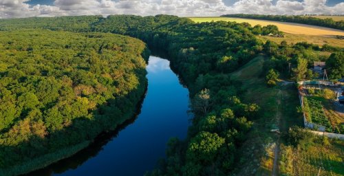 Рибалка на ставку с. Вільне Дніпропетровської області