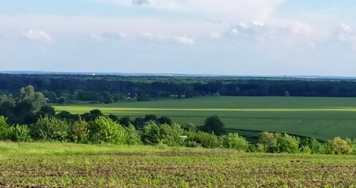 Рибалка на ставку с. Вільне Дніпропетровської області