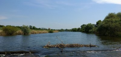 Риболовля на ставку в селі Недайвода