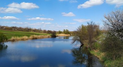 Риболовля на ставку в селі Недайвода