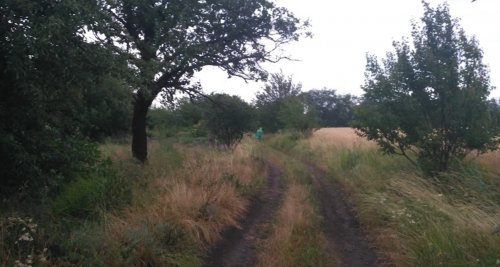 Рибалка на річці Боковенька Дніпропетровської області