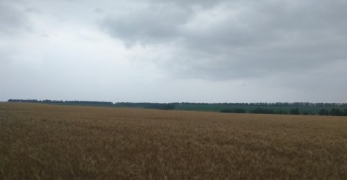 Рибалка на річці Боковенька Дніпропетровської області