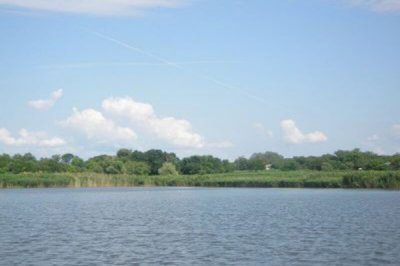 Рибалка на ставку у селі Миколаївка Дніпропетровської області